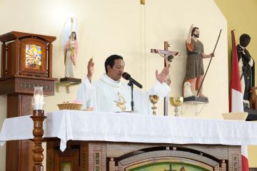 Misa Solemne en Honor a Santo Domingo Savio — foto 29